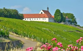 Vogelsburg